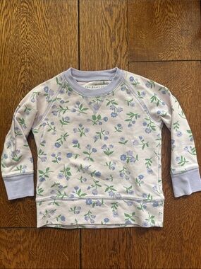 TBBC Cassidy Comfy Crewneck - 6-12 mos